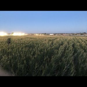 Meet your Posher, Sheila